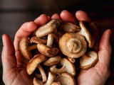 How To Cook Shiitake Mushrooms: a Complete Guide