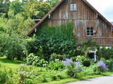 5 Steps to Transition from Gardening to Permaculture