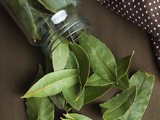 How to Dehydrate Bay Leaves