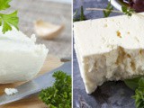 Mexican Cheese Battle Royale: Cotija vs Queso Fresco