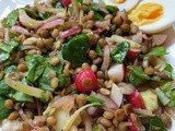Green lentil salad with delicious sumac dressing & Our memorable trip to the States