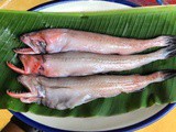 Bombil, Boomla or Bombay Duck