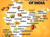 Mango Map of India