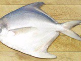 White Pomfret, Silver Pomfret, Pompano, Palmburo Fish – whats the difference