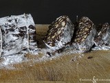 Salame di cioccolata - Chocolate salami