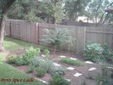 7 Helpful Tips to Start Your Own Herb and Vegetable Garden