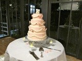 My Daughter’s Vegan Wedding Cake Picture