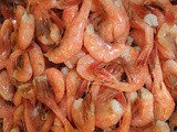 Ode to maine shrimp