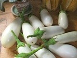 Preserved eggplant italian style