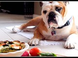 Food Bloggin’ with a Dog