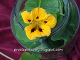 Ocet z nasturcji