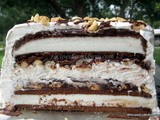 Peanut Buster Ice Cream Cake