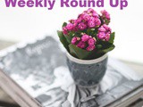 CarolCooks2…Weekly roundup…Jackfruit, Jerk Fish, Bioplastics, Intermittent Fasting and more