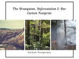 Deforestation…and our Carbon Footprint