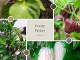 Fruity Friday..how does my garden grow…Chocolate Habaneros