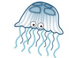 Guest Post: Jelly or Jellyfish