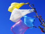 Plastic…Part 9…Biodegradable and Compostable bags