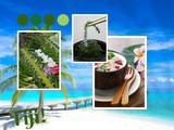 Smorgasbord Blog Magazine – a-z World Cuisines – #Fiji a beautiful South Pacific Island by Carol Taylor