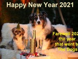 Smorgasbord Blog Magazine – Happy New Year’s Eve – 2020 in the rear view mirror by Sally Cronin