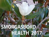 Smorgasbord Health 2017 – Top to Toe – The Kidneys and Urinary Tract -Bacterial and Interstitial cystitis