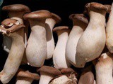 Smorgasbord Health Column – Food Therapy – Mushrooms – The Egyptians believed they granted immortality