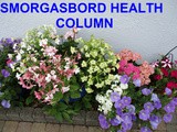 Smorgasbord Health Column – The cardiovascular system and the components of Blood #Anaemia