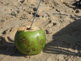 The Coconut….Is it a fruit, a nut or a seed