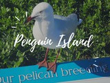Travel Australia…Penguin Island…Shoal Water Bay, Perth
