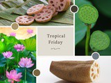 Tropical Friday… The Lotus Root