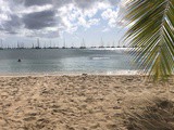 Martinica quando andare, spiagge più belle e tutte le info per viaggiare sicuri