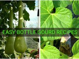 Easy Bottle Gourd(Calabash) Recipes