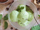 Dairy-Free Ninja Creami Mint Chocolate Chip Ice Cream