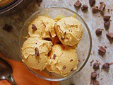 Dairy Free Ninja Creami Pumpkin Ice Cream