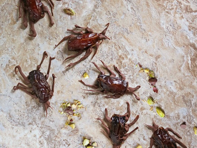 Very Good Recipes of Cockroaches
