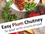 Easy Plum Chutney