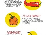 Know the Chili Pepper