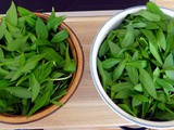 Bärlauchpesto