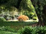 Il Giardino di Ninfa: un’oasi di pace e colori