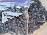 How to Freeze Blueberries: Tips and Tricks