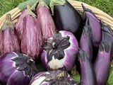 How to Store Eggplant: Counter, Fridge and Freezer Guide