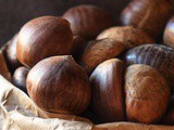 Storing Chestnuts: How to Store the Proper Way