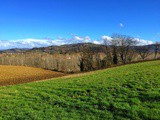 Itinerari: Monferrato, Acqui Terme e il Brachetto Docg, una passeggiata tra le colline Unesco