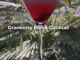 Cranberry Blush Cocktail