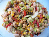 Delicioso Garbanzo Bean and Cannelini Bean Salad