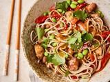Noodle Salad with Chicken, Edamame, and Roasted Bell Pepper