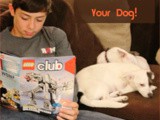 10 Great Books to Read to Your Dog