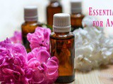 13 Essential Oils for Anxiety and Stress