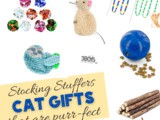 15 Stocking Stuffers for Cats