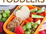 20 of the best Bento Lunch Ideas for Toddlers