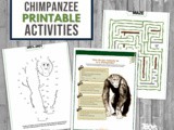 Chimpanzee Family Activity Pack